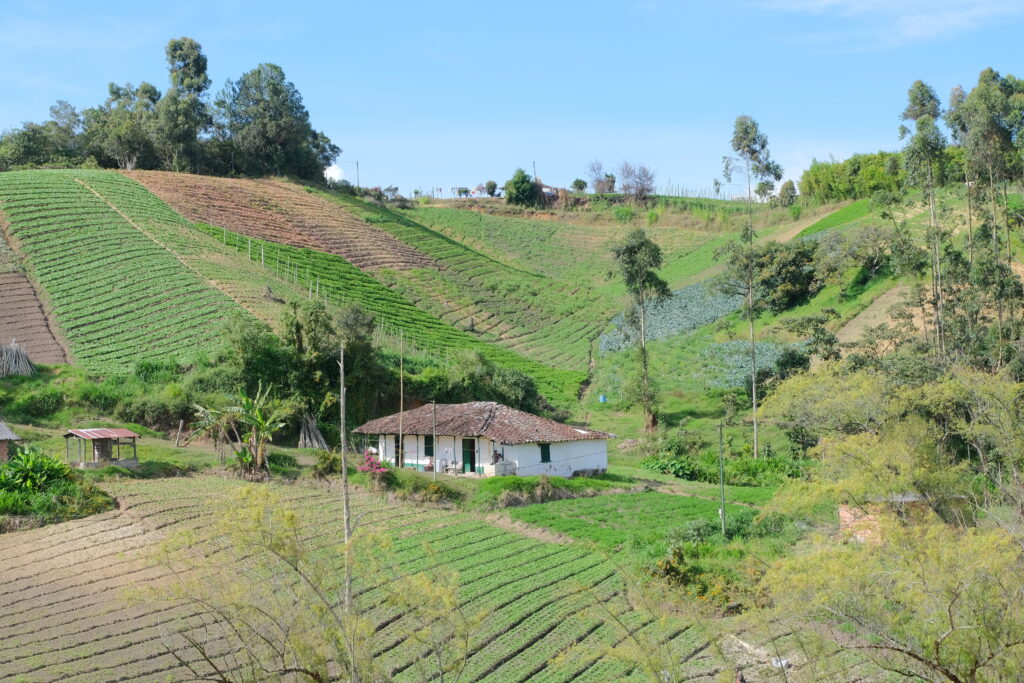 Agua: Garantizando tu Bienestar en nuestros Lotes Campestres Para la Venta en Carmen de Viboral