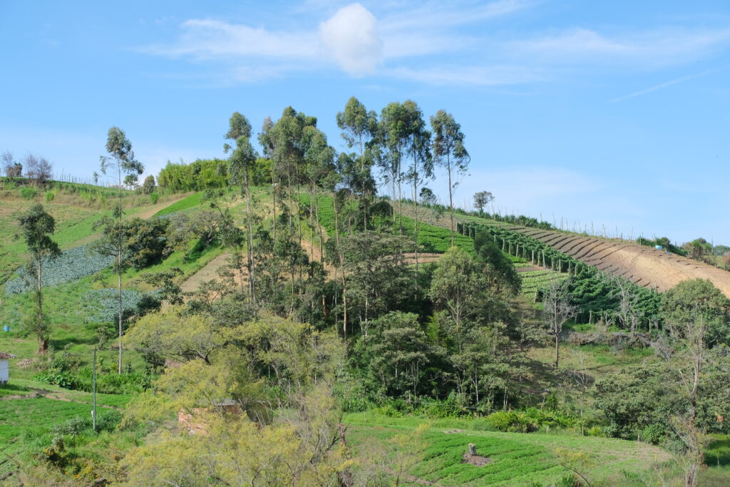 Lotes en venta en Carmen de Viboral, Lotes en venta en Oriente Antioqueño, Lotes en venta en el Carmen de Viboral, Tu Lote Campestre en el Carmen de Viboral, Lotes urbanizados venta Carmen de Viboral, Terrenos para venta en Carmen de Viboral, Venta de lotes en Carmen de Viboral, Lote en El carmen de viboral, Lotes Campestres Carmen de Viboral, Lotes Campestres en Carmen de Viboral, Lote en venta en El carmen de viboral, Lote en parcelación para venta en El carmen de viboral: Tu Oportunidad Única