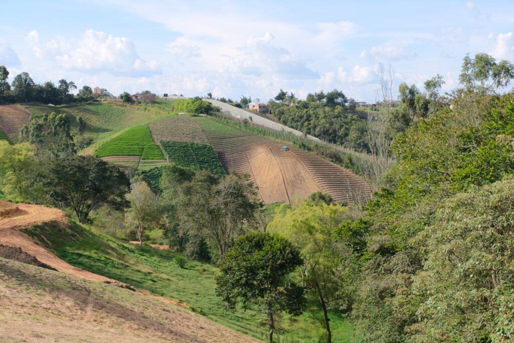 Lotes Para la Venta en carmen de Viboral