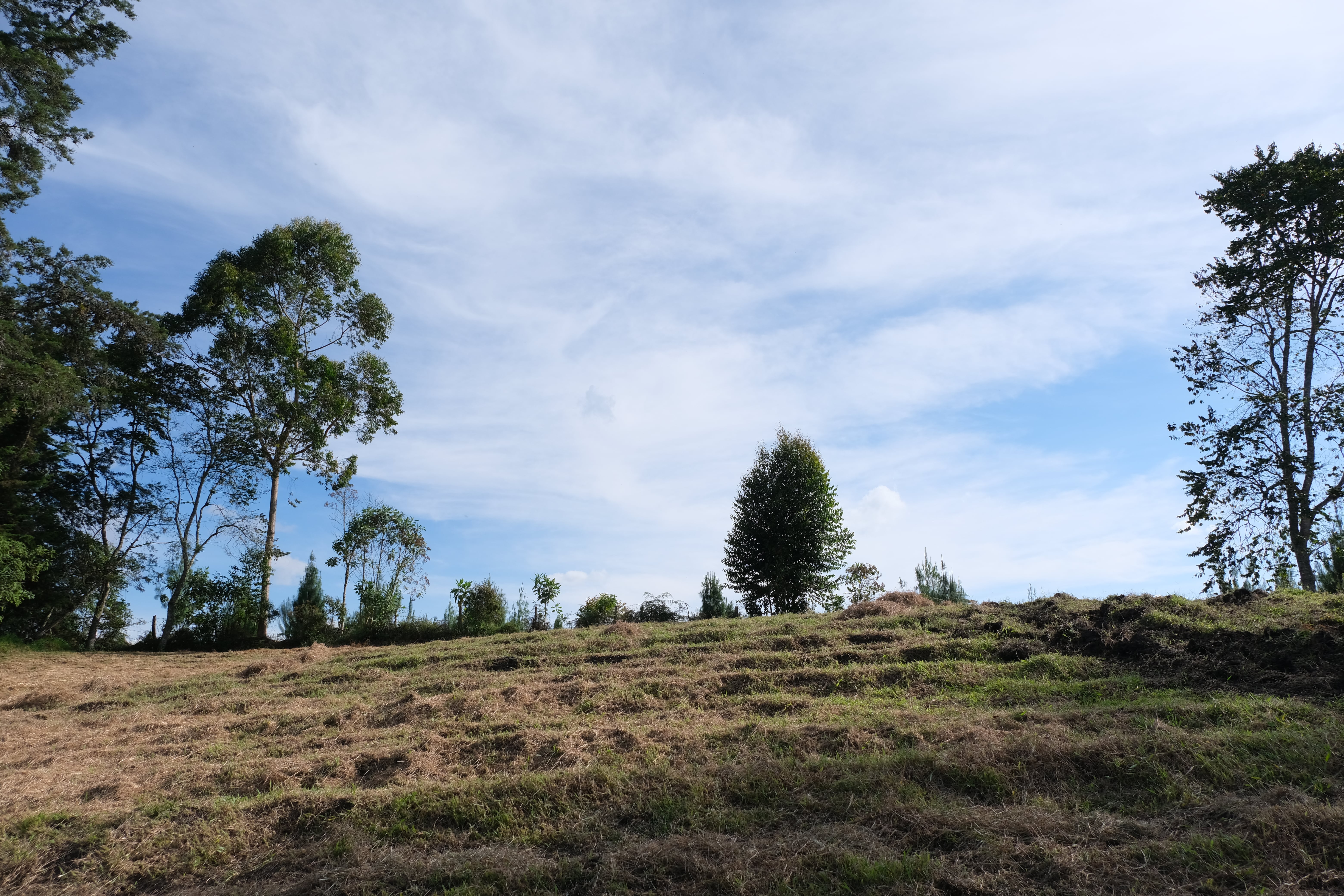 Mareva Campestre Lotes en venta en El Carmen de Viboral, Antioquia, Lotes en Venta en Carmen De Viboral, Lotes campestres para la venta en El Carmen de Viboral, Antioquia, Terrenos en venta en El Carmen de Viboral, Antioquia, Comprar lotes en El Carmen de Viboral, Antioquia, Lotes económicos en El Carmen de Viboral, Antioquia, Venta de terrenos en El Carmen de Viboral, Antioquia, Ofertas de lotes en El Carmen de Viboral, Antioquia, Proyectos de lotes en El Carmen de Viboral, Antioquia, Terrenos disponibles en El Carmen de Viboral, Antioquia, Lotes en venta al mejor precio en El Carmen de Viboral, Carmen de Viboral Venta de lotes y terrenos, Encuentra terrenos en venta en Carmen de Viboral, Antioquia.