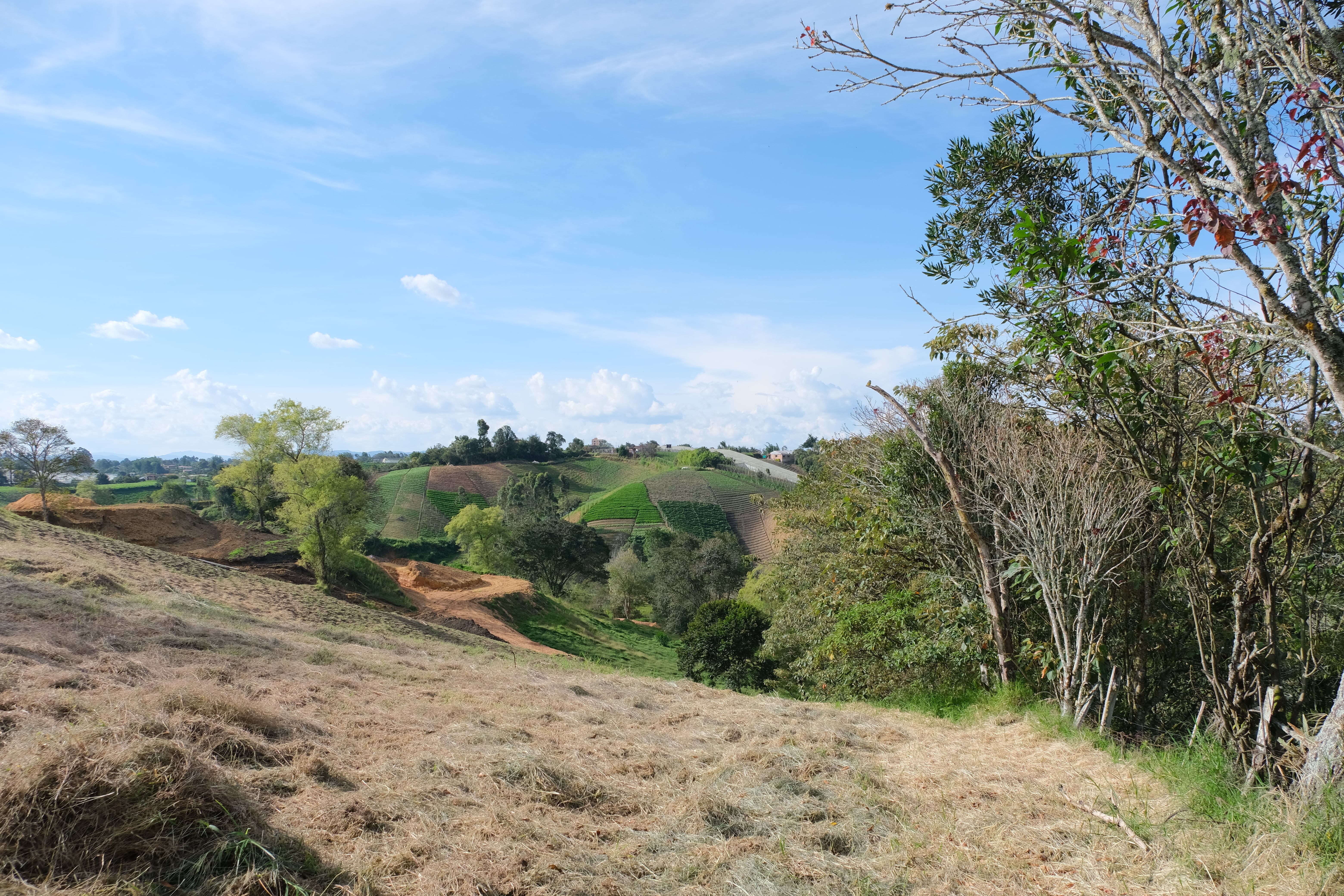 Mareva Campestre Lotes en venta en El Carmen de Viboral, Antioquia, Lotes en Venta en Carmen De Viboral, Lotes campestres para la venta en El Carmen de Viboral, Antioquia, Terrenos en venta en El Carmen de Viboral, Antioquia, Comprar lotes en El Carmen de Viboral, Antioquia, Lotes económicos en El Carmen de Viboral, Antioquia, Venta de terrenos en El Carmen de Viboral, Antioquia, Ofertas de lotes en El Carmen de Viboral, Antioquia, Proyectos de lotes en El Carmen de Viboral, Antioquia, Terrenos disponibles en El Carmen de Viboral, Antioquia, Lotes en venta al mejor precio en El Carmen de Viboral, Carmen de Viboral Venta de lotes y terrenos, Encuentra terrenos en venta en Carmen de Viboral, Antioquia.