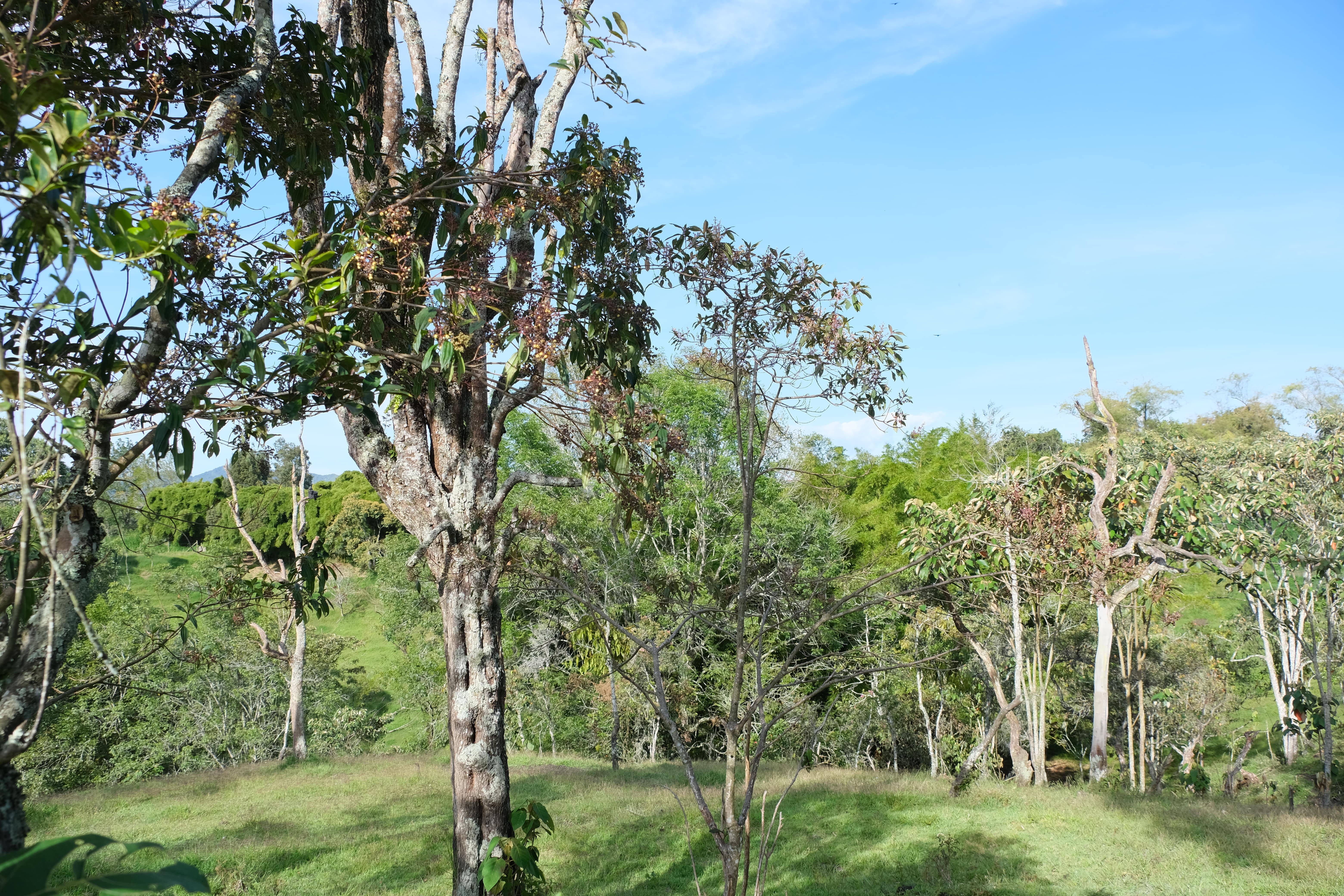 Mareva Campestre Lotes en venta en El Carmen de Viboral, Antioquia, Lotes en Venta en Carmen De Viboral, Lotes campestres para la venta en El Carmen de Viboral, Antioquia, Terrenos en venta en El Carmen de Viboral, Antioquia, Comprar lotes en El Carmen de Viboral, Antioquia, Lotes económicos en El Carmen de Viboral, Antioquia, Venta de terrenos en El Carmen de Viboral, Antioquia, Ofertas de lotes en El Carmen de Viboral, Antioquia, Proyectos de lotes en El Carmen de Viboral, Antioquia, Terrenos disponibles en El Carmen de Viboral, Antioquia, Lotes en venta al mejor precio en El Carmen de Viboral, Carmen de Viboral Venta de lotes y terrenos, Encuentra terrenos en venta en Carmen de Viboral, Antioquia.