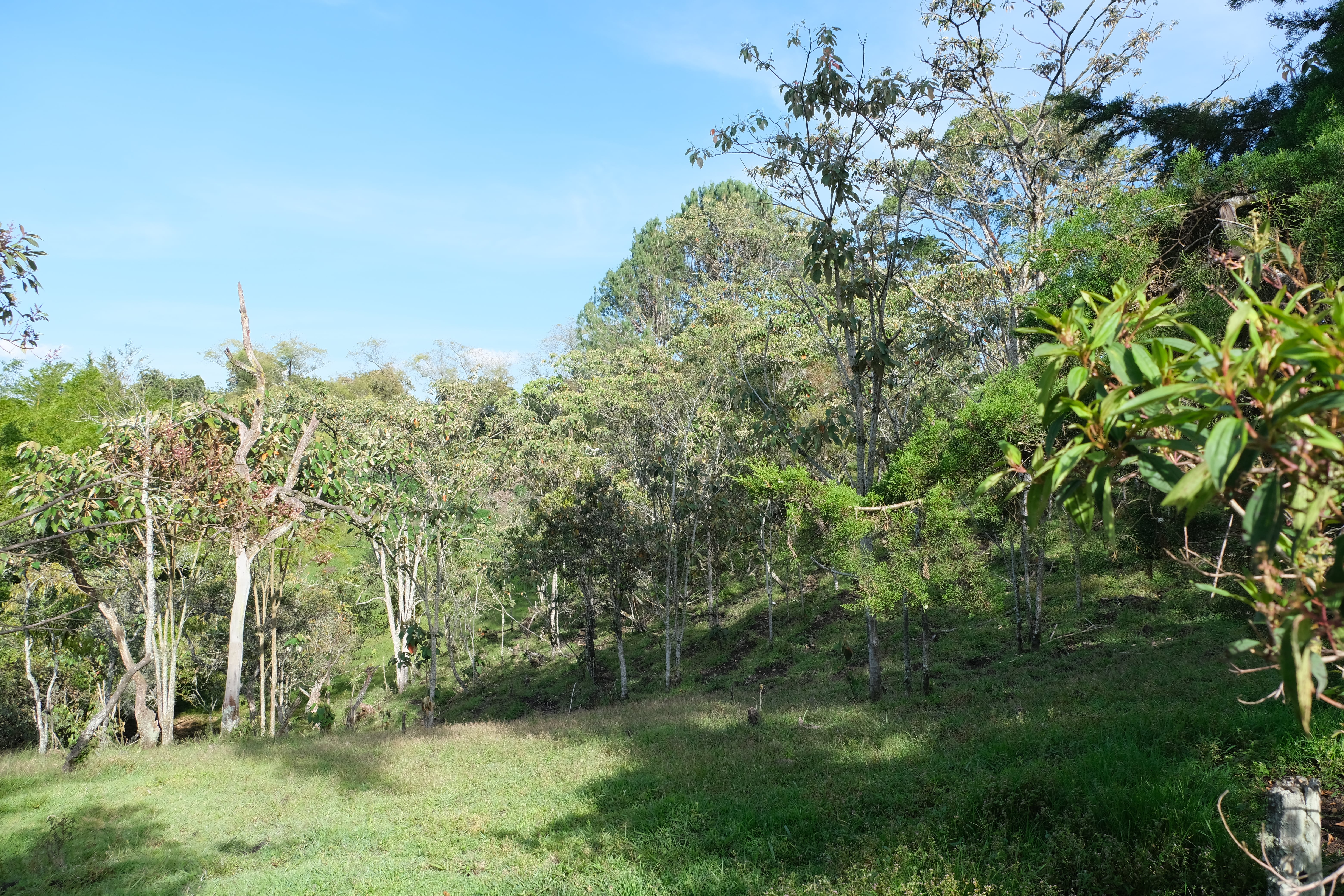 Mareva Campestre Lotes en venta en El Carmen de Viboral, Antioquia, Lotes en Venta en Carmen De Viboral, Lotes campestres para la venta en El Carmen de Viboral, Antioquia, Terrenos en venta en El Carmen de Viboral, Antioquia, Comprar lotes en El Carmen de Viboral, Antioquia, Lotes económicos en El Carmen de Viboral, Antioquia, Venta de terrenos en El Carmen de Viboral, Antioquia, Ofertas de lotes en El Carmen de Viboral, Antioquia, Proyectos de lotes en El Carmen de Viboral, Antioquia, Terrenos disponibles en El Carmen de Viboral, Antioquia, Lotes en venta al mejor precio en El Carmen de Viboral, Carmen de Viboral Venta de lotes y terrenos, Encuentra terrenos en venta en Carmen de Viboral, Antioquia.