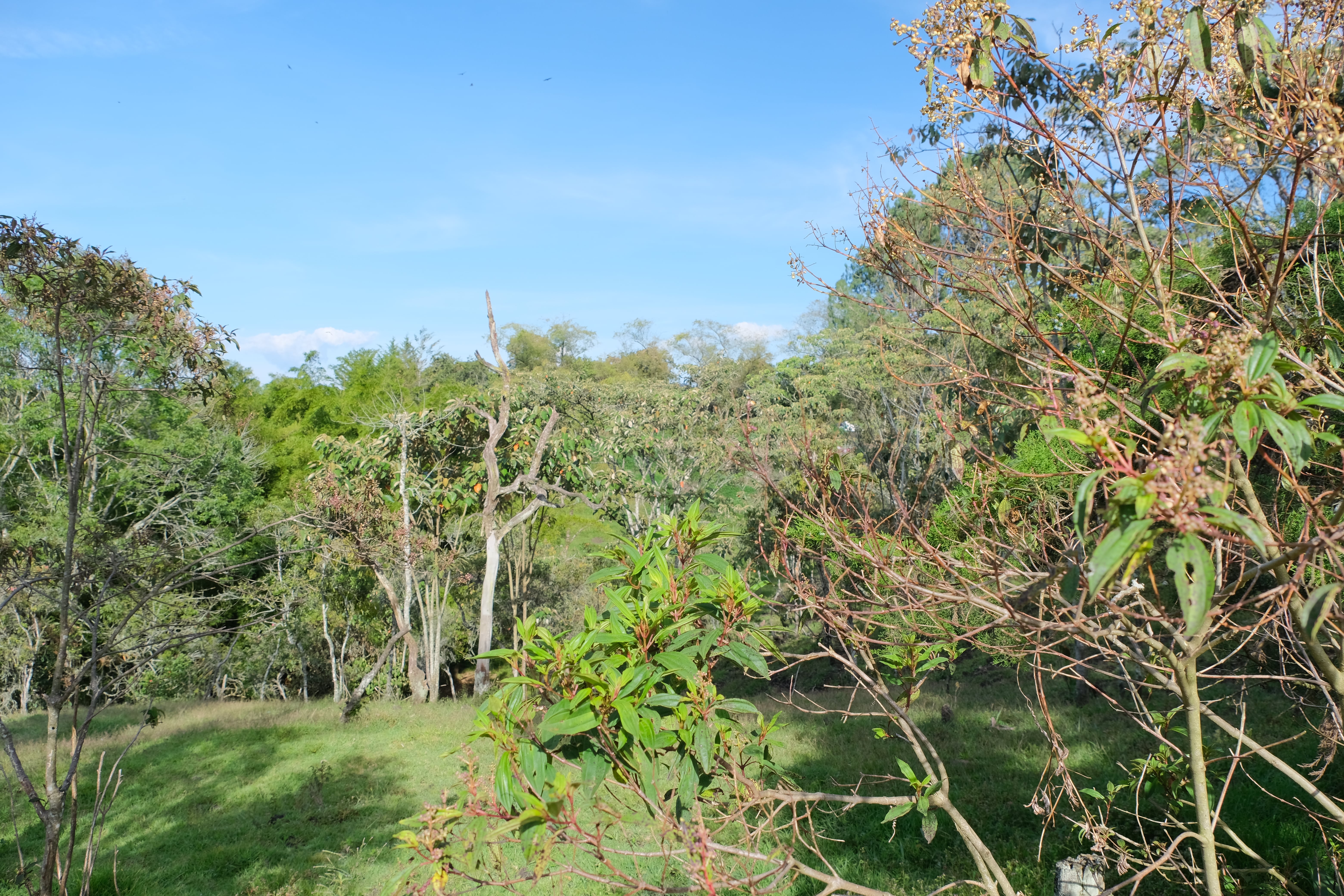 Mareva Campestre Lotes en venta en El Carmen de Viboral, Antioquia, Lotes en Venta en Carmen De Viboral, Lotes campestres para la venta en El Carmen de Viboral, Antioquia, Terrenos en venta en El Carmen de Viboral, Antioquia, Comprar lotes en El Carmen de Viboral, Antioquia, Lotes económicos en El Carmen de Viboral, Antioquia, Venta de terrenos en El Carmen de Viboral, Antioquia, Ofertas de lotes en El Carmen de Viboral, Antioquia, Proyectos de lotes en El Carmen de Viboral, Antioquia, Terrenos disponibles en El Carmen de Viboral, Antioquia, Lotes en venta al mejor precio en El Carmen de Viboral, Carmen de Viboral Venta de lotes y terrenos, Encuentra terrenos en venta en Carmen de Viboral, Antioquia.