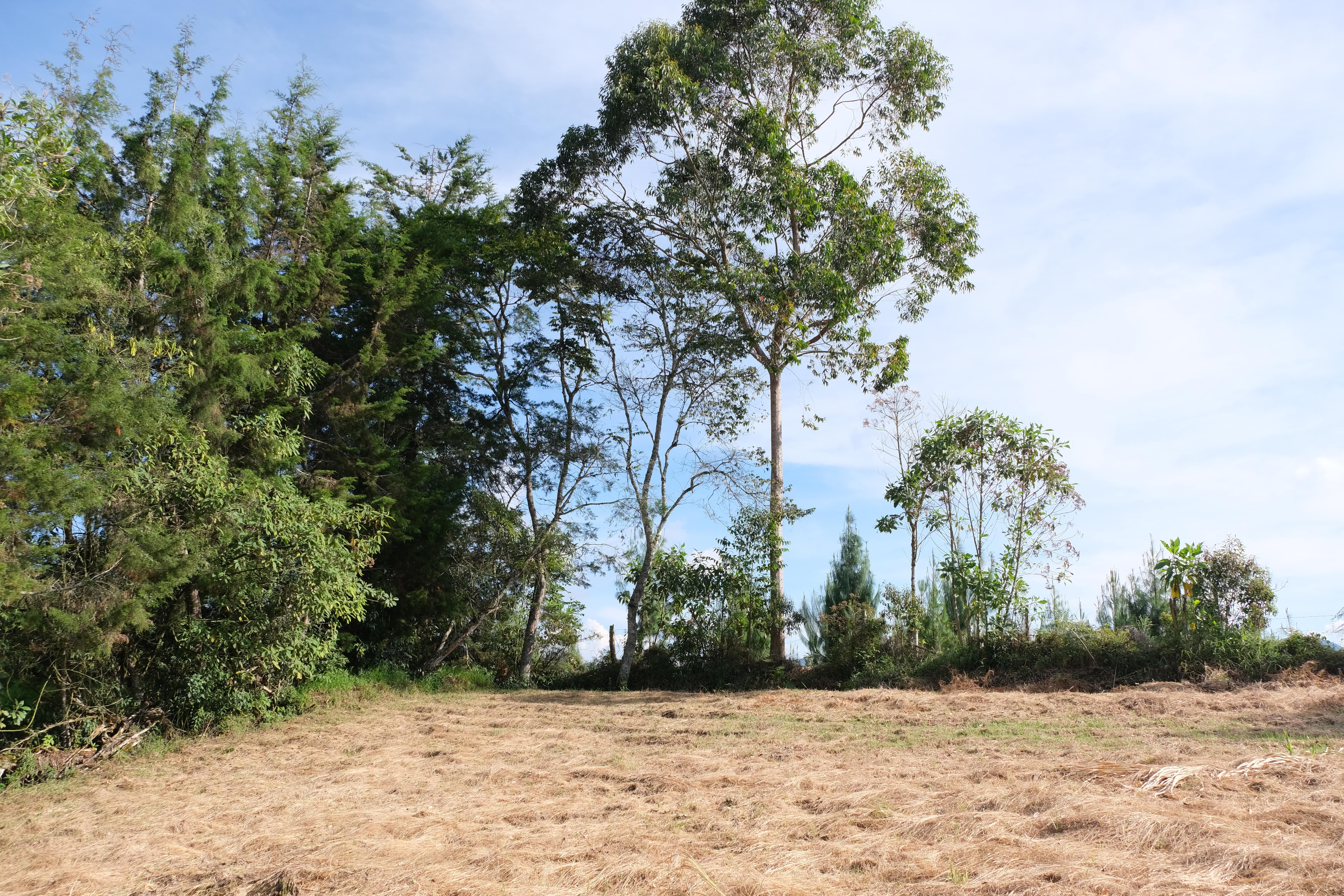 Mareva Campestre Lotes en venta en El Carmen de Viboral, Antioquia, Lotes en Venta en Carmen De Viboral, Lotes campestres para la venta en El Carmen de Viboral, Antioquia, Terrenos en venta en El Carmen de Viboral, Antioquia, Comprar lotes en El Carmen de Viboral, Antioquia, Lotes económicos en El Carmen de Viboral, Antioquia, Venta de terrenos en El Carmen de Viboral, Antioquia, Ofertas de lotes en El Carmen de Viboral, Antioquia, Proyectos de lotes en El Carmen de Viboral, Antioquia, Terrenos disponibles en El Carmen de Viboral, Antioquia, Lotes en venta al mejor precio en El Carmen de Viboral, Carmen de Viboral Venta de lotes y terrenos, Encuentra terrenos en venta en Carmen de Viboral, Antioquia.