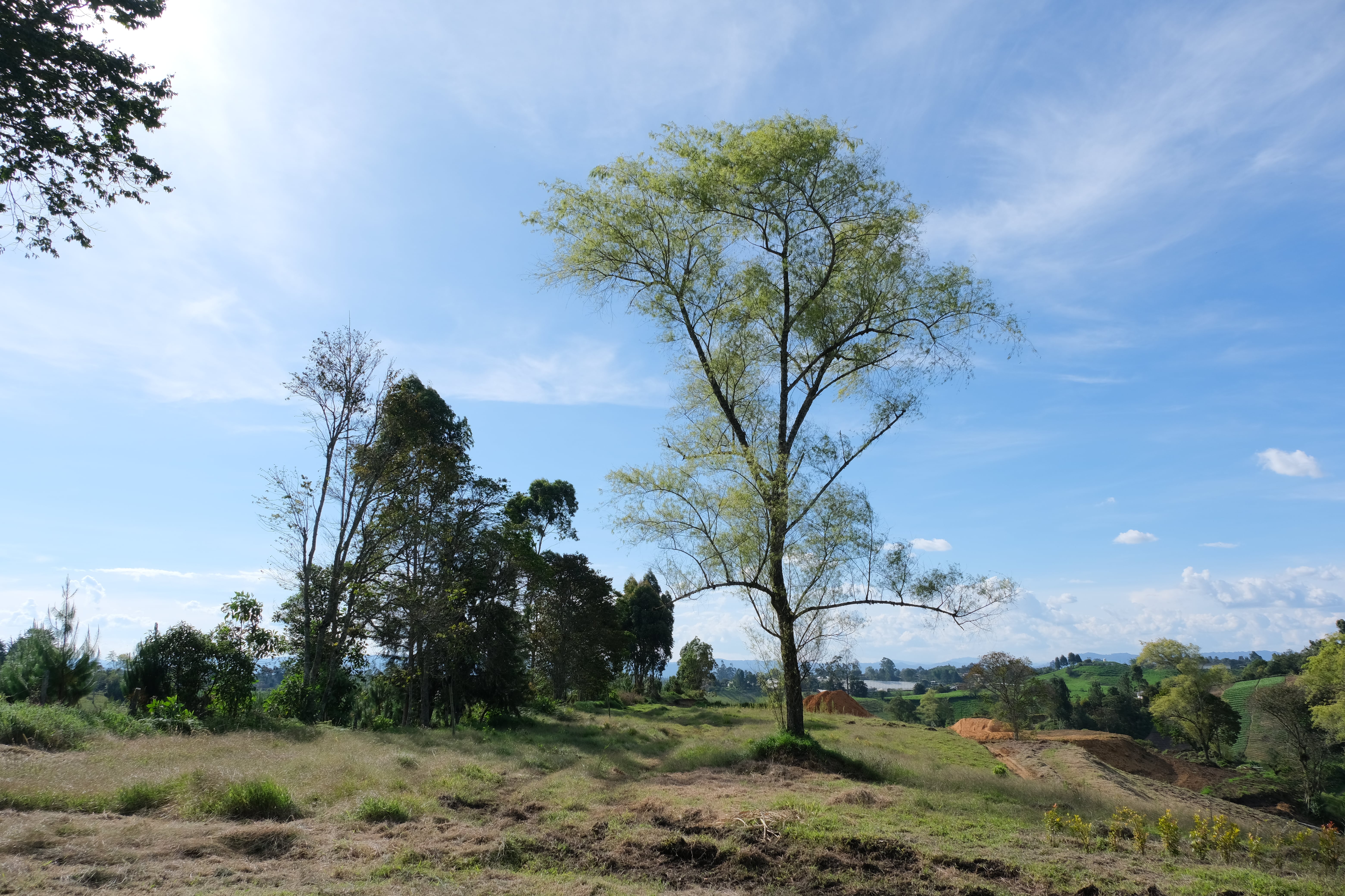 Mareva Campestre Lotes en venta en El Carmen de Viboral, Antioquia, Lotes en Venta en Carmen De Viboral, Lotes campestres para la venta en El Carmen de Viboral, Antioquia, Terrenos en venta en El Carmen de Viboral, Antioquia, Comprar lotes en El Carmen de Viboral, Antioquia, Lotes económicos en El Carmen de Viboral, Antioquia, Venta de terrenos en El Carmen de Viboral, Antioquia, Ofertas de lotes en El Carmen de Viboral, Antioquia, Proyectos de lotes en El Carmen de Viboral, Antioquia, Terrenos disponibles en El Carmen de Viboral, Antioquia, Lotes en venta al mejor precio en El Carmen de Viboral, Carmen de Viboral Venta de lotes y terrenos, Encuentra terrenos en venta en Carmen de Viboral, Antioquia.