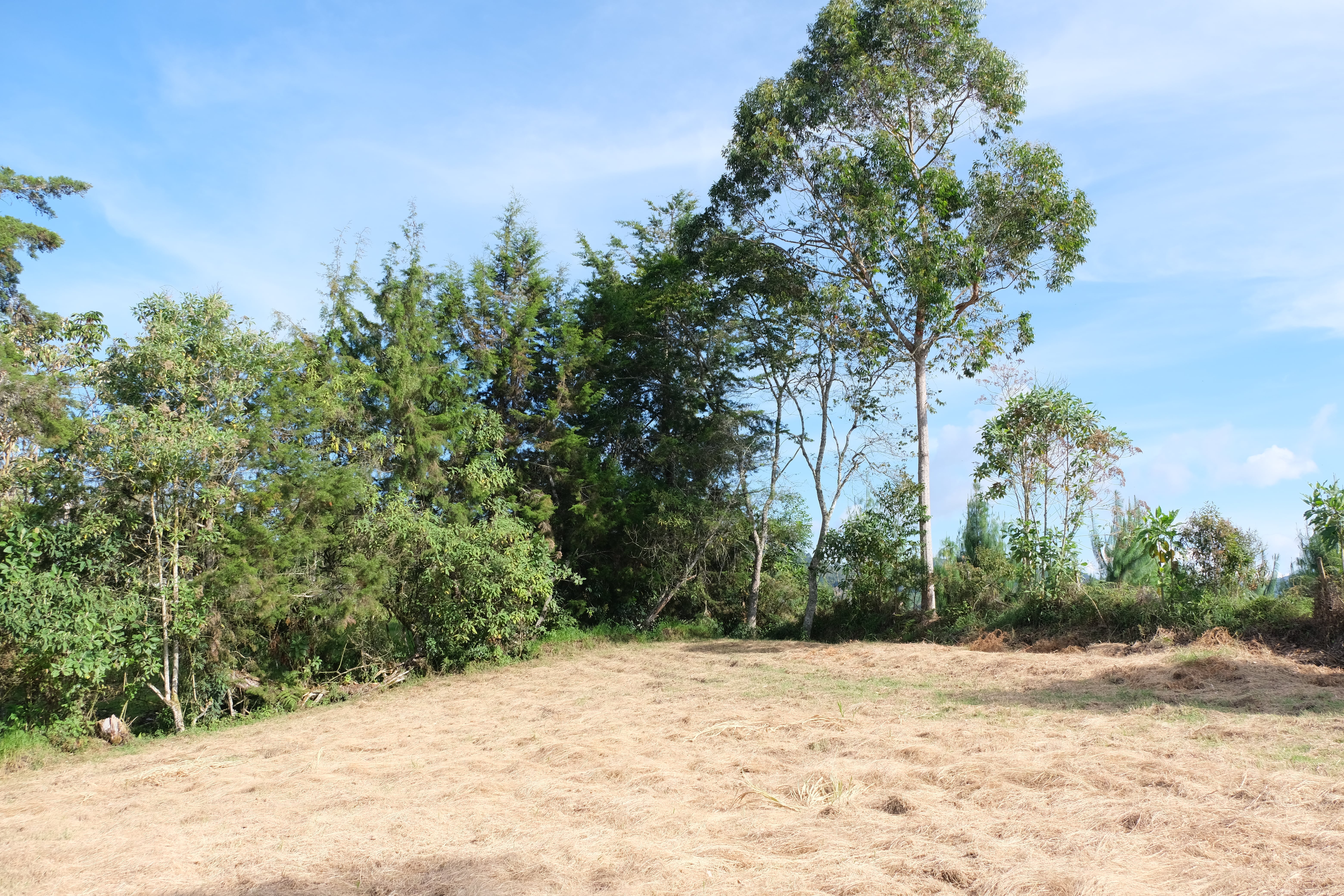 Mareva Campestre Lotes en venta en El Carmen de Viboral, Antioquia, Lotes en Venta en Carmen De Viboral, Lotes campestres para la venta en El Carmen de Viboral, Antioquia, Terrenos en venta en El Carmen de Viboral, Antioquia, Comprar lotes en El Carmen de Viboral, Antioquia, Lotes económicos en El Carmen de Viboral, Antioquia, Venta de terrenos en El Carmen de Viboral, Antioquia, Ofertas de lotes en El Carmen de Viboral, Antioquia, Proyectos de lotes en El Carmen de Viboral, Antioquia, Terrenos disponibles en El Carmen de Viboral, Antioquia, Lotes en venta al mejor precio en El Carmen de Viboral, Carmen de Viboral Venta de lotes y terrenos, Encuentra terrenos en venta en Carmen de Viboral, Antioquia.