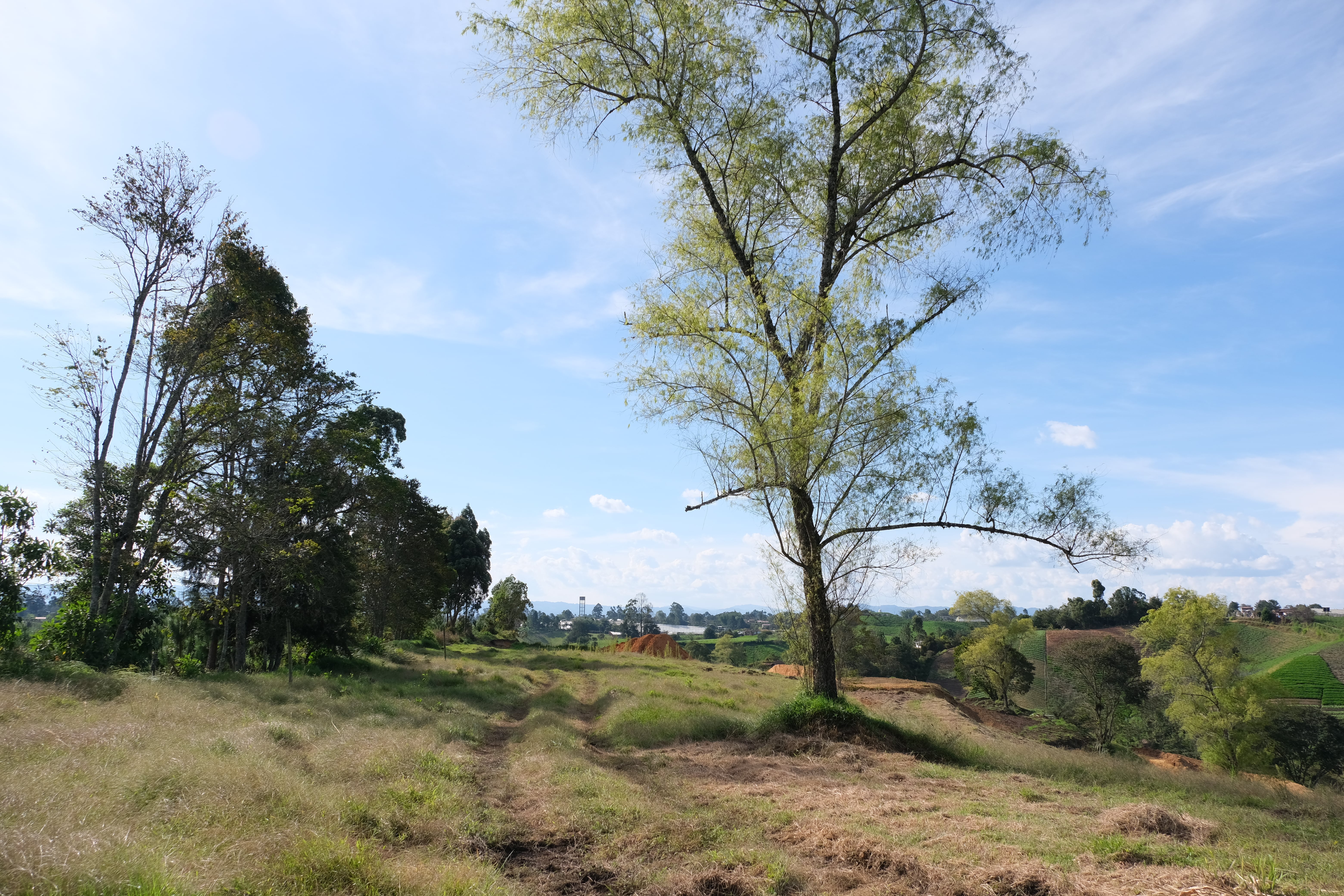 Mareva Campestre Lotes en venta en El Carmen de Viboral, Antioquia, Lotes en Venta en Carmen De Viboral, Lotes campestres para la venta en El Carmen de Viboral, Antioquia, Terrenos en venta en El Carmen de Viboral, Antioquia, Comprar lotes en El Carmen de Viboral, Antioquia, Lotes económicos en El Carmen de Viboral, Antioquia, Venta de terrenos en El Carmen de Viboral, Antioquia, Ofertas de lotes en El Carmen de Viboral, Antioquia, Proyectos de lotes en El Carmen de Viboral, Antioquia, Terrenos disponibles en El Carmen de Viboral, Antioquia, Lotes en venta al mejor precio en El Carmen de Viboral, Carmen de Viboral Venta de lotes y terrenos, Encuentra terrenos en venta en Carmen de Viboral, Antioquia.