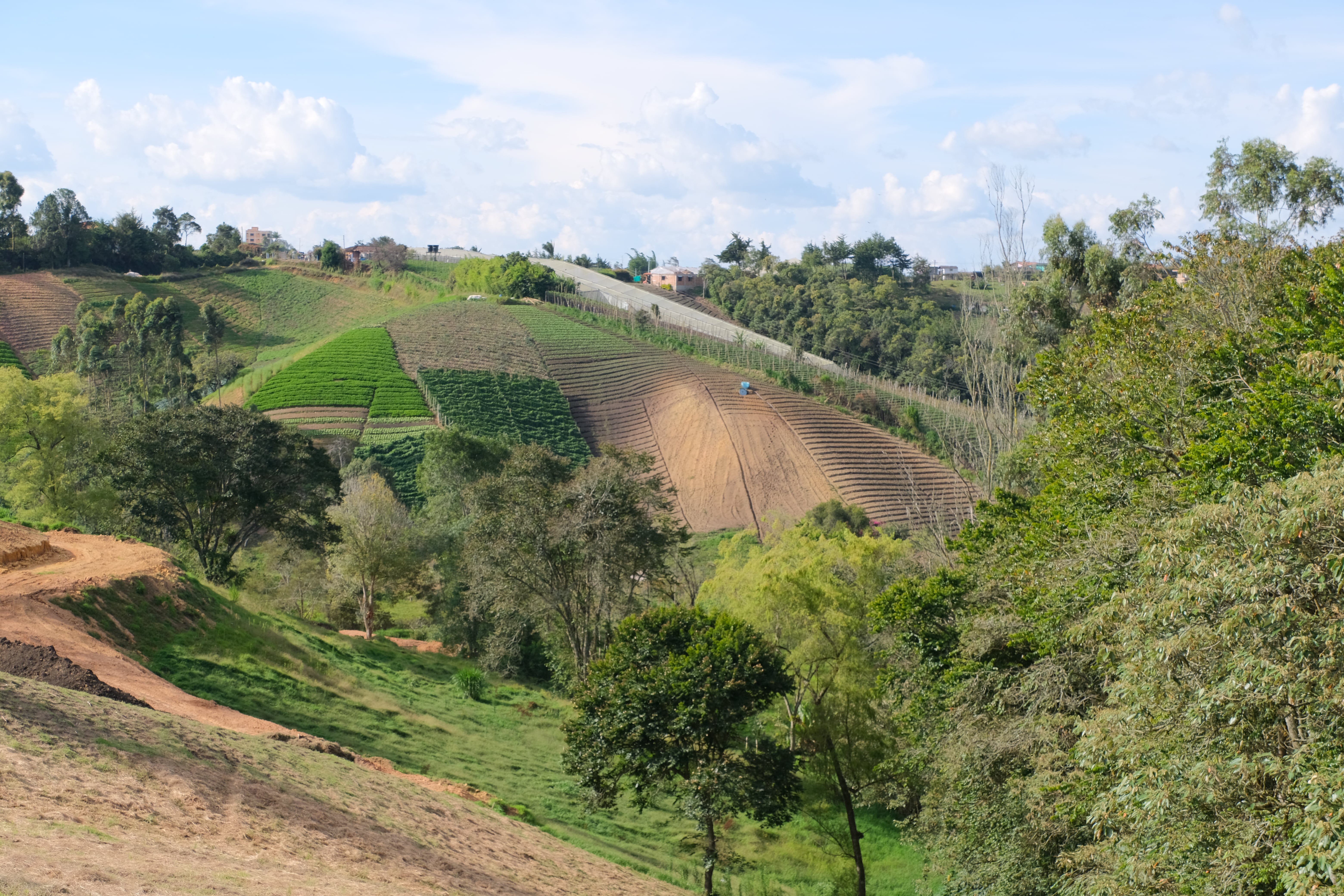 Mareva Campestre Lotes en venta en El Carmen de Viboral, Antioquia, Lotes en Venta en Carmen De Viboral, Lotes campestres para la venta en El Carmen de Viboral, Antioquia, Terrenos en venta en El Carmen de Viboral, Antioquia, Comprar lotes en El Carmen de Viboral, Antioquia, Lotes económicos en El Carmen de Viboral, Antioquia, Venta de terrenos en El Carmen de Viboral, Antioquia, Ofertas de lotes en El Carmen de Viboral, Antioquia, Proyectos de lotes en El Carmen de Viboral, Antioquia, Terrenos disponibles en El Carmen de Viboral, Antioquia, Lotes en venta al mejor precio en El Carmen de Viboral, Carmen de Viboral Venta de lotes y terrenos, Encuentra terrenos en venta en Carmen de Viboral, Antioquia.