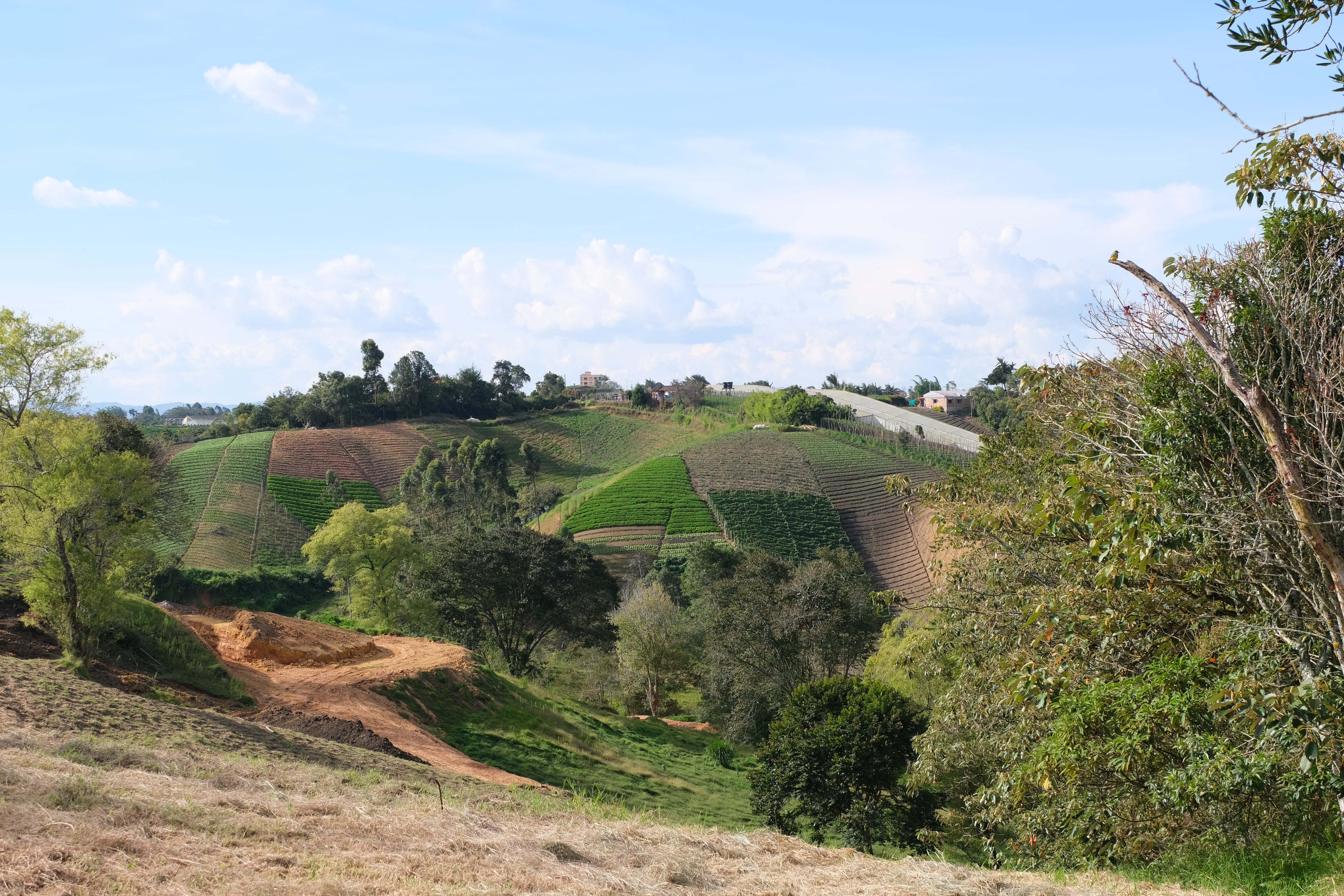 Mareva Campestre Lotes en venta en El Carmen de Viboral, Antioquia, Lotes en Venta en Carmen De Viboral, Lotes campestres para la venta en El Carmen de Viboral, Antioquia, Terrenos en venta en El Carmen de Viboral, Antioquia, Comprar lotes en El Carmen de Viboral, Antioquia, Lotes económicos en El Carmen de Viboral, Antioquia, Venta de terrenos en El Carmen de Viboral, Antioquia, Ofertas de lotes en El Carmen de Viboral, Antioquia, Proyectos de lotes en El Carmen de Viboral, Antioquia, Terrenos disponibles en El Carmen de Viboral, Antioquia, Lotes en venta al mejor precio en El Carmen de Viboral, Carmen de Viboral Venta de lotes y terrenos, Encuentra terrenos en venta en Carmen de Viboral, Antioquia.