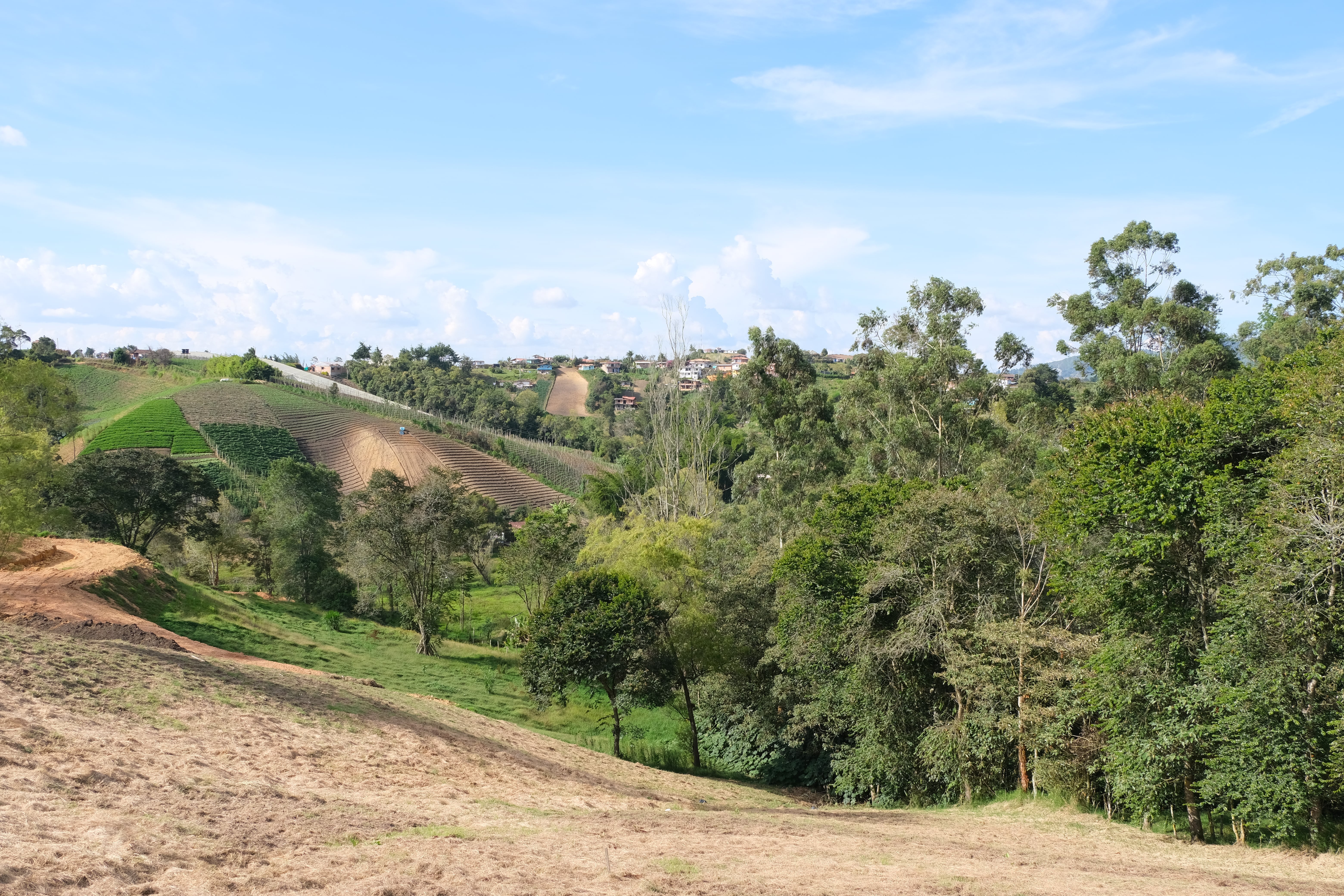 Mareva Campestre Lotes en venta en El Carmen de Viboral, Antioquia, Lotes campestres en El Carmen de Viboral, Antioquia, Terrenos en venta en El Carmen de Viboral, Antioquia, Comprar lotes en El Carmen de Viboral, Antioquia, Lotes económicos en El Carmen de Viboral, Antioquia, Venta de terrenos en El Carmen de Viboral, Antioquia, Ofertas de lotes en El Carmen de Viboral, Antioquia, Proyectos de lotes en El Carmen de Viboral, Antioquia, Terrenos disponibles en El Carmen de Viboral, Antioquia, Lotes en venta al mejor precio en El Carmen de Viboral, Carmen de Viboral Venta de lotes y terrenos, Encuentra terrenos en venta en Carmen de Viboral, Antioquia.