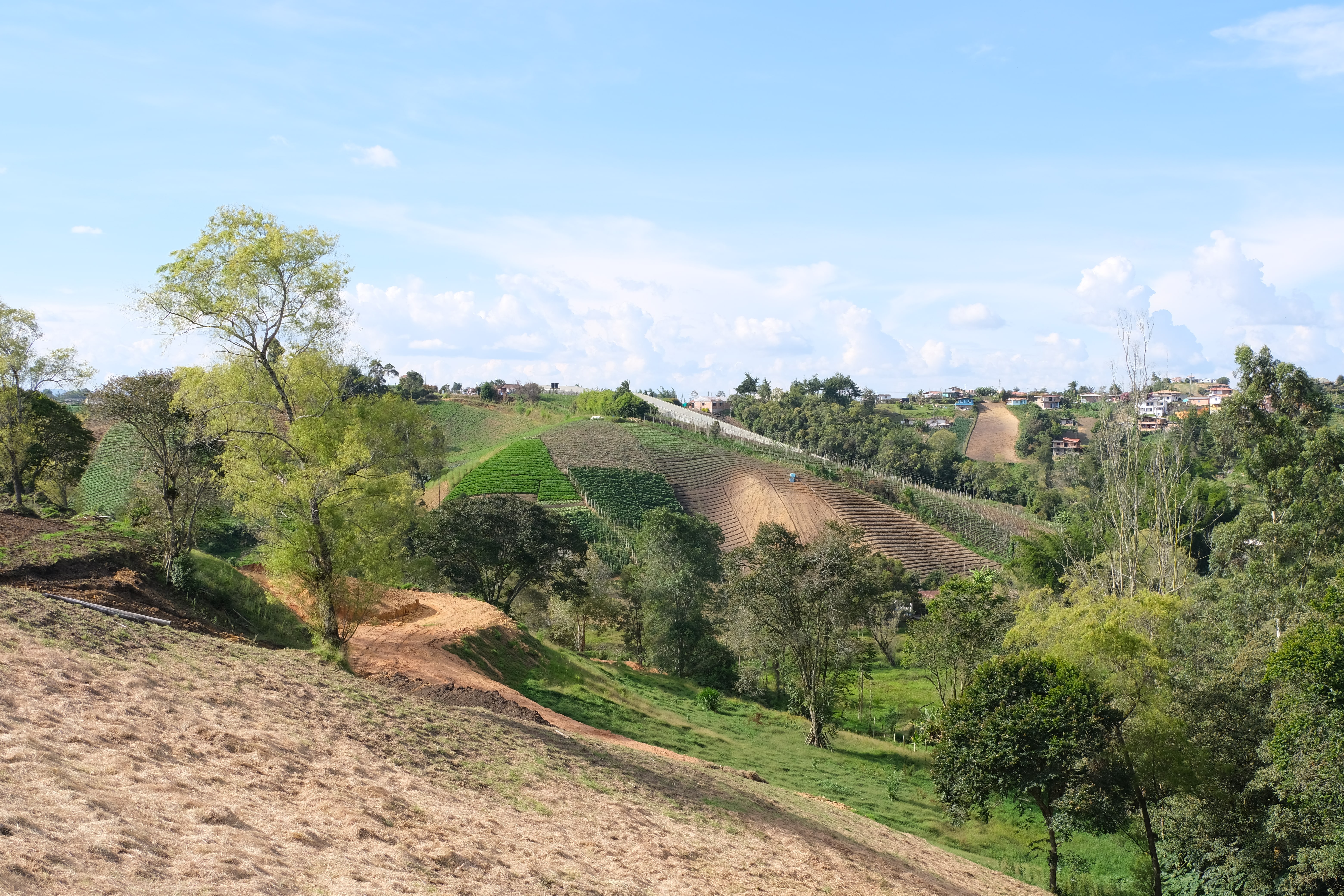 Mareva Campestre Lotes en venta en El Carmen de Viboral, Antioquia, Lotes campestres en El Carmen de Viboral, Antioquia, Terrenos en venta en El Carmen de Viboral, Antioquia, Comprar lotes en El Carmen de Viboral, Antioquia, Lotes económicos en El Carmen de Viboral, Antioquia, Venta de terrenos en El Carmen de Viboral, Antioquia, Ofertas de lotes en El Carmen de Viboral, Antioquia, Proyectos de lotes en El Carmen de Viboral, Antioquia, Terrenos disponibles en El Carmen de Viboral, Antioquia, Lotes en venta al mejor precio en El Carmen de Viboral, Carmen de Viboral Venta de lotes y terrenos, Encuentra terrenos en venta en Carmen de Viboral, Antioquia.