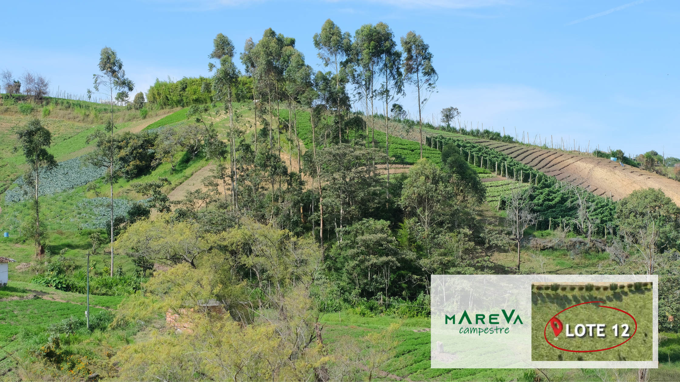 Lotes en venta en Carmen de Viboral, Lotes en venta en Oriente Antioqueño, Lotes en venta en el Carmen de Viboral, Tu Lote Campestre en el Carmen de Viboral, Lotes urbanizados venta Carmen de Viboral, Terrenos para venta en Carmen de Viboral, Venta de lotes en Carmen de Viboral, Lote en El Carmen de Viboral, Lotes Campestres Carmen de Viboral, Lotes Campestres en Carmen de Viboral, Lote en venta en El Carmen de Viboral, Lote en parcelación para venta en El Carmen de Viboral