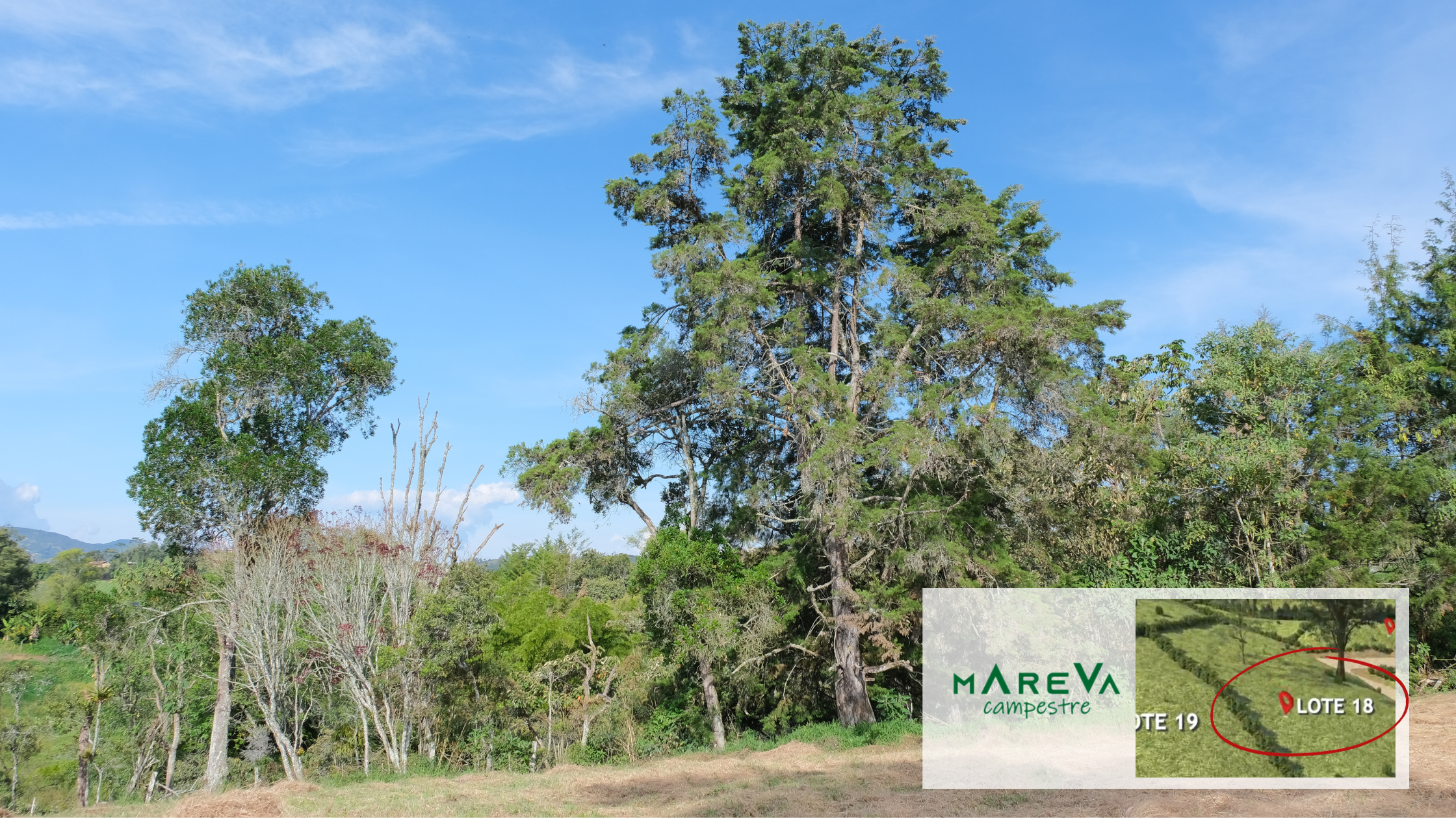 Lotes en venta en Carmen de Viboral, Lotes en venta en Oriente Antioqueño, Lotes en venta en el Carmen de Viboral, Tu Lote Campestre en el Carmen de Viboral, Lotes urbanizados venta Carmen de Viboral, Terrenos para venta en Carmen de Viboral, Venta de lotes en Carmen de Viboral, Lote en El Carmen de Viboral, Lotes Campestres Carmen de Viboral, Lotes Campestres en Carmen de Viboral, Lote en venta en El Carmen de Viboral, Lote en parcelación para venta en El Carmen de Viboral