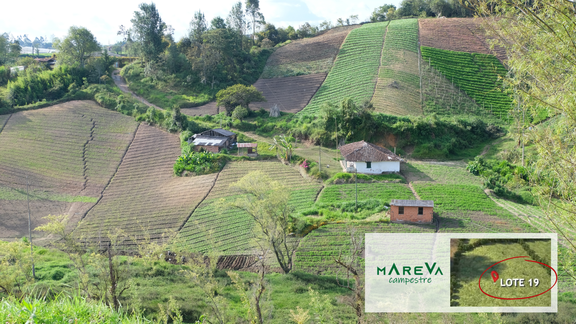 Lotes en venta en Carmen de Viboral, Lotes en venta en Oriente Antioqueño, Lotes en venta en el Carmen de Viboral, Tu Lote Campestre en el Carmen de Viboral, Lotes urbanizados venta Carmen de Viboral, Terrenos para venta en Carmen de Viboral, Venta de lotes en Carmen de Viboral, Lote en El Carmen de Viboral, Lotes Campestres Carmen de Viboral, Lotes Campestres en Carmen de Viboral, Lote en venta en El Carmen de Viboral, Lote en parcelación para venta en El Carmen de Viboral