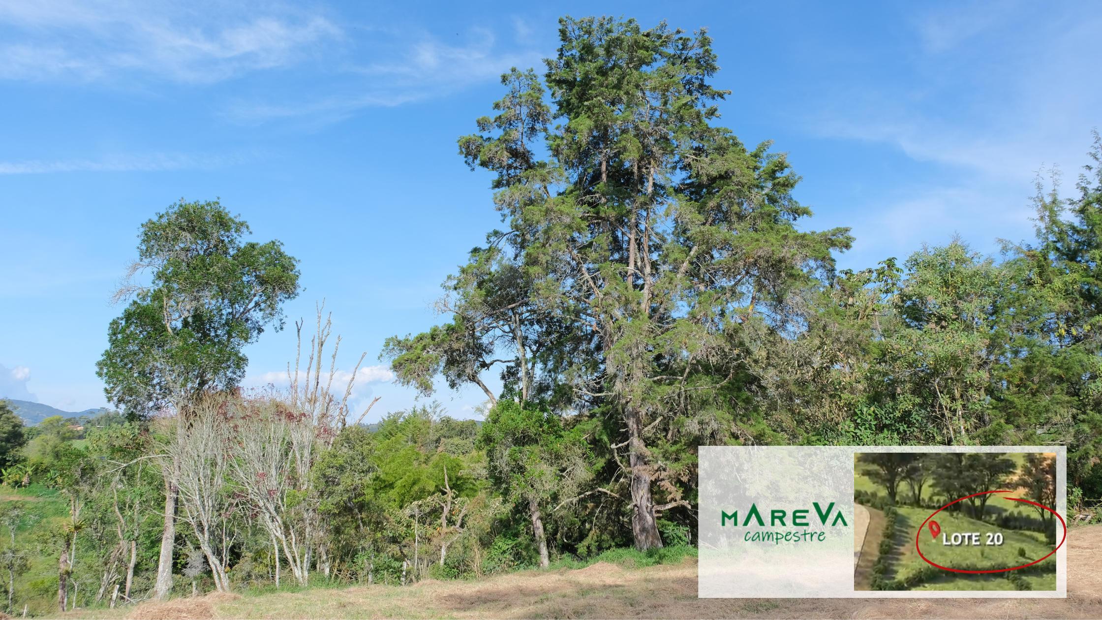 Lotes en venta en Carmen de Viboral, Lotes en venta en Oriente Antioqueño, Lotes en venta en el Carmen de Viboral, Tu Lote Campestre en el Carmen de Viboral, Lotes urbanizados venta Carmen de Viboral, Terrenos para venta en Carmen de Viboral, Venta de lotes en Carmen de Viboral, Lote en El Carmen de Viboral, Lotes Campestres Carmen de Viboral, Lotes Campestres en Carmen de Viboral, Lote en venta en El Carmen de Viboral, Lote en parcelación para venta en El Carmen de Viboral