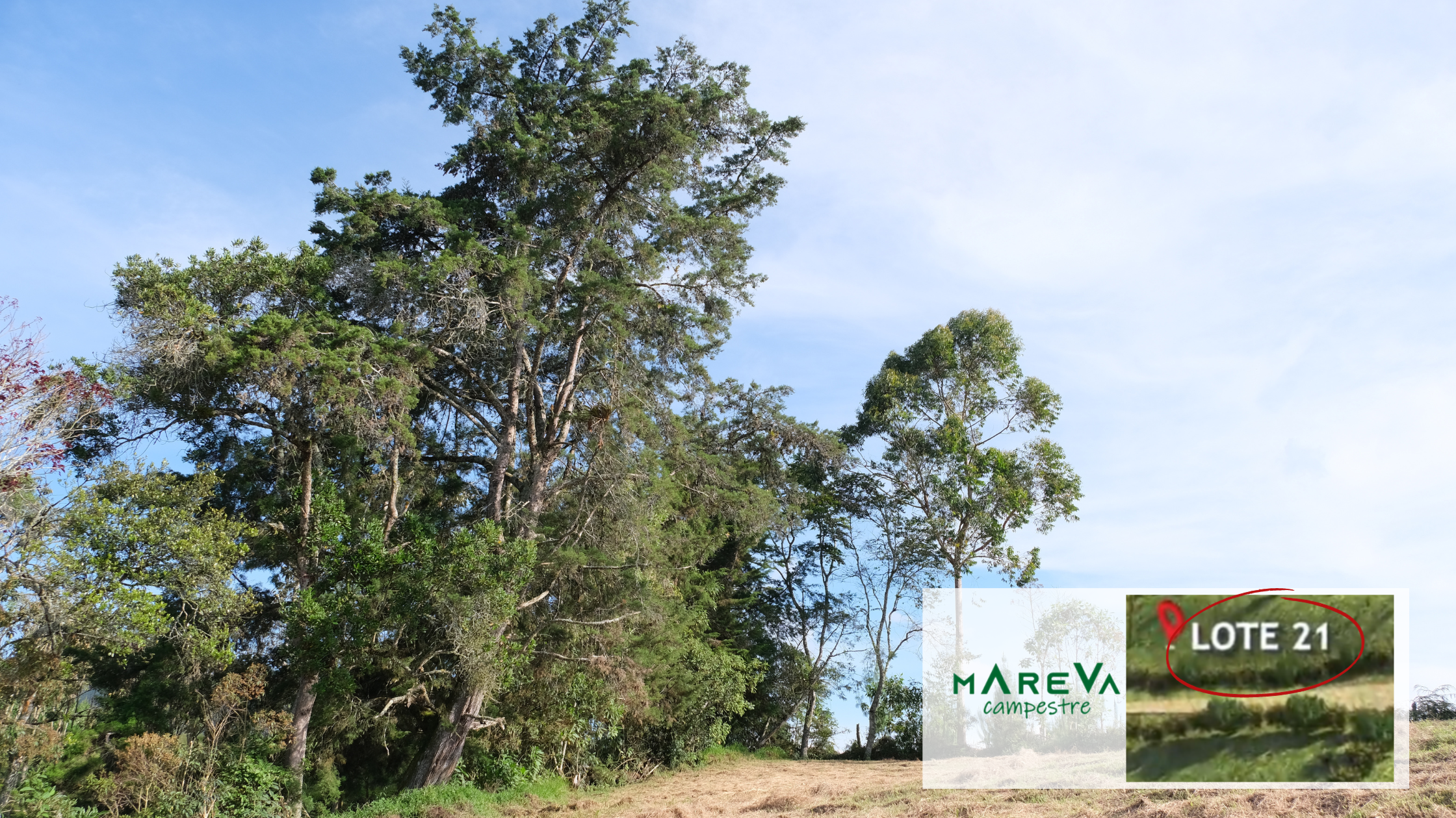 Lotes en venta en Carmen de Viboral, Lotes en venta en Oriente Antioqueño, Lotes en venta en el Carmen de Viboral, Tu Lote Campestre en el Carmen de Viboral, Lotes urbanizados venta Carmen de Viboral, Terrenos para venta en Carmen de Viboral, Venta de lotes en Carmen de Viboral, Lote en El Carmen de Viboral, Lotes Campestres Carmen de Viboral, Lotes Campestres en Carmen de Viboral, Lote en venta en El Carmen de Viboral, Lote en parcelación para venta en El Carmen de Viboral